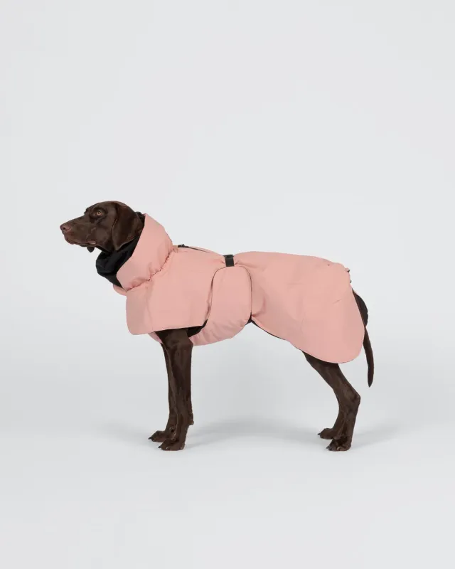 Paikka Visibility vinterjakke seawool rosa refleks