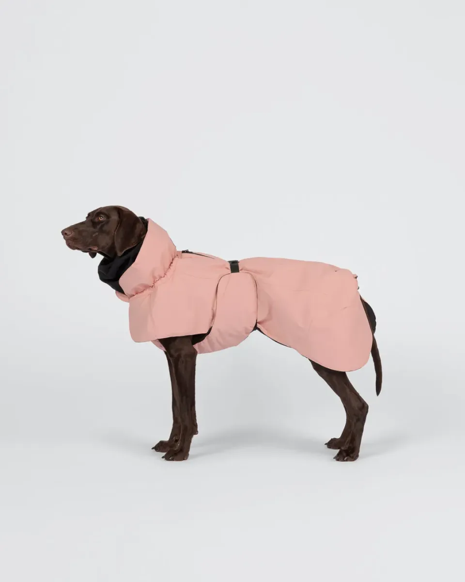Paikka Visibility vinterjakke seawool rosa refleks