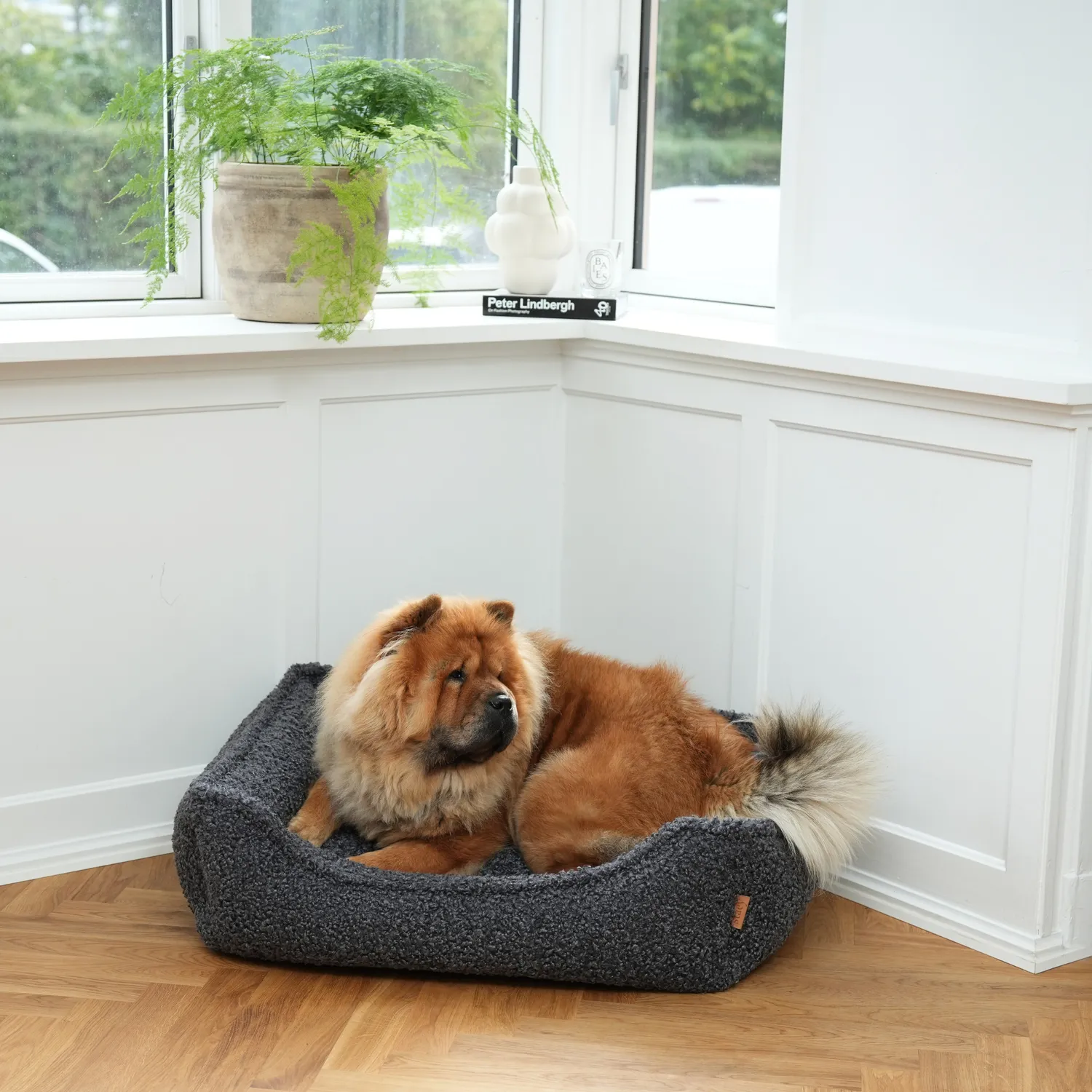 Staey Tora hundeseng Storm Curly vaskbar 5 str.