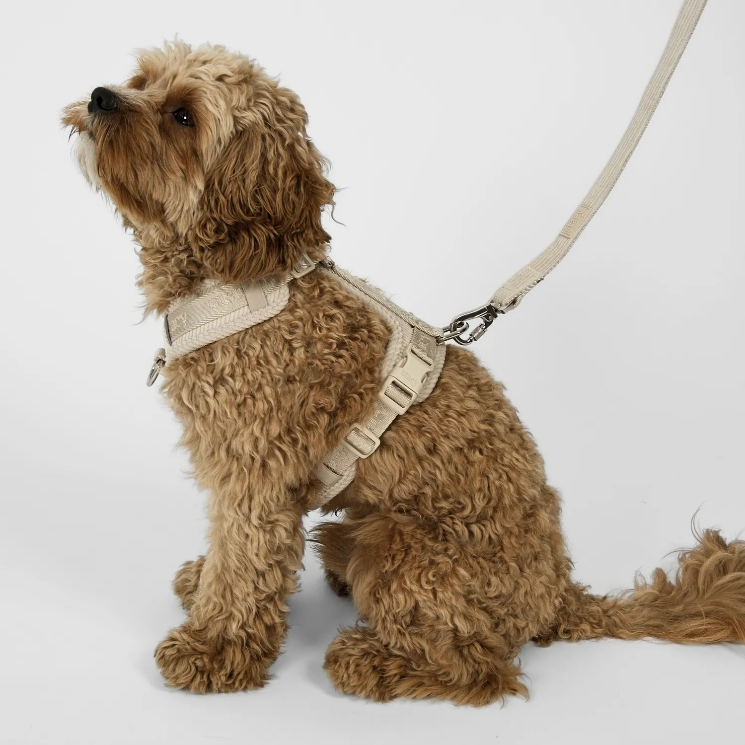 Staey Elma hundesnor Oat 152 cm blødt håndtag