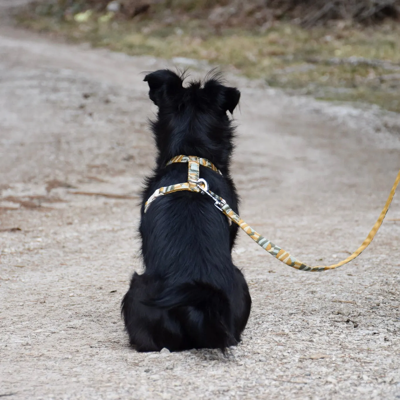 Woolly Wolf Cloudbeam hundesnor 150 cm genanvendt