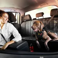 EzyDog Drive bilbetræk til hund bagsæde