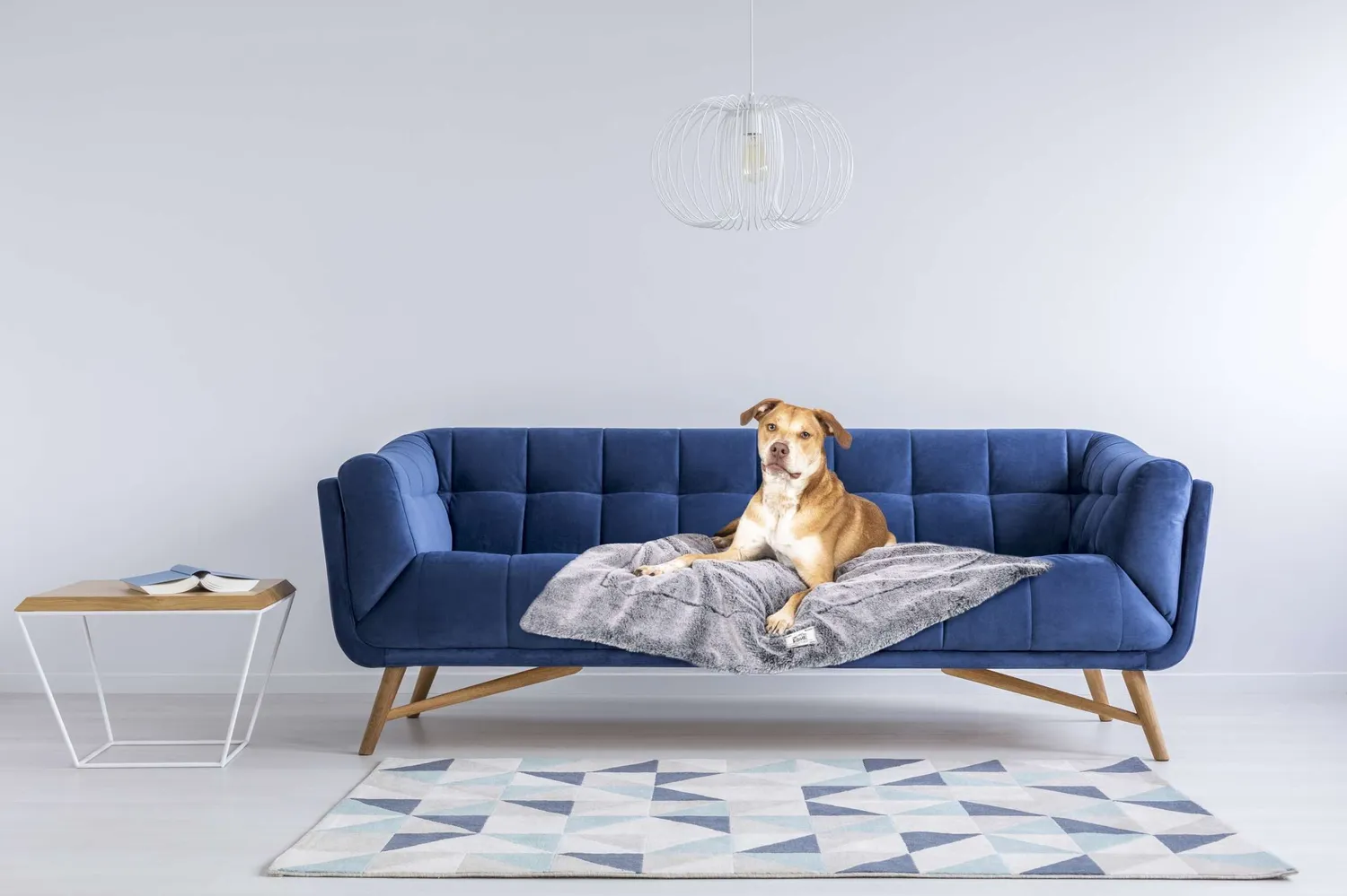 Dog Gone Smart Chill Kuzzi hundetæppe beroligende blødt