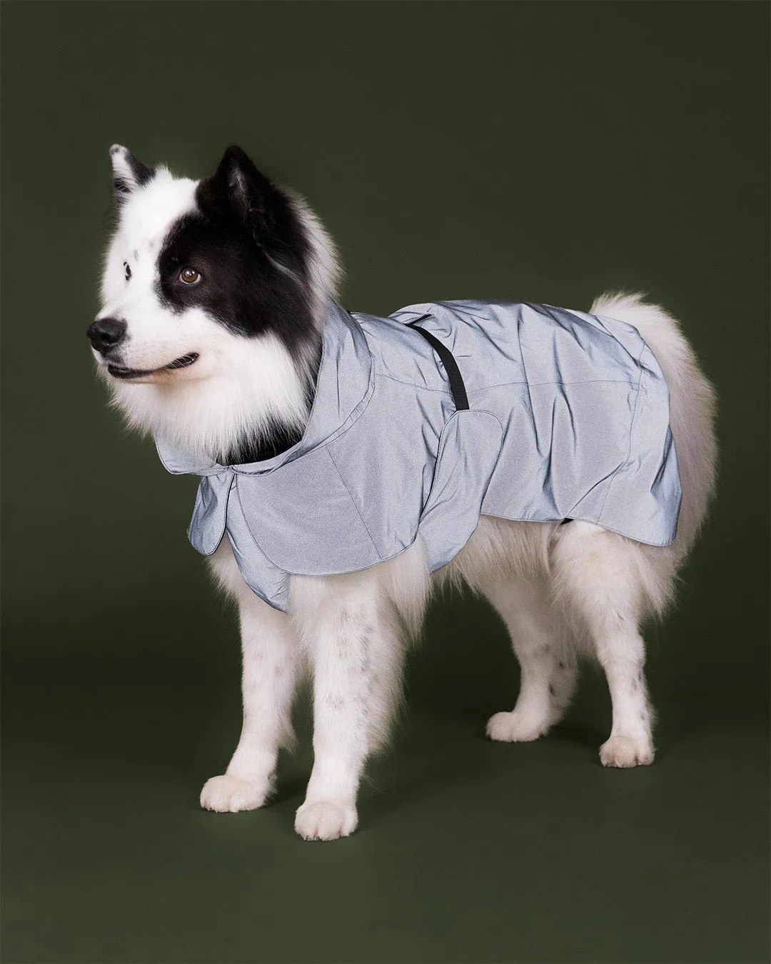 Paikka Visibility Raincoat regnjakke Seawool Dark reflekterende