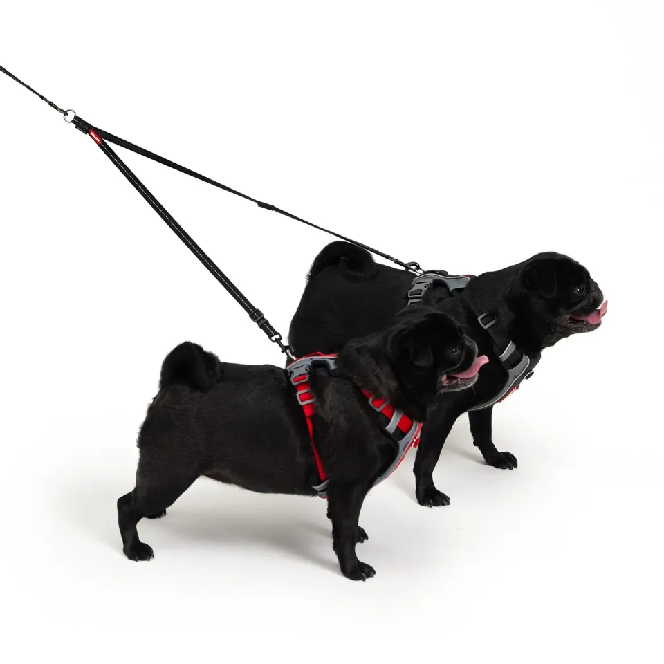 EzyDog Soft Touch kobbel dobbelt sort 60cm