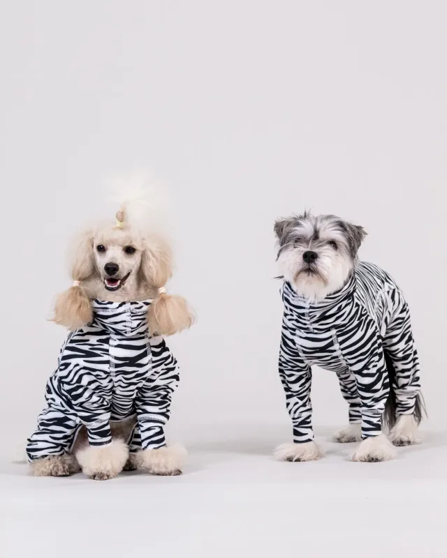 Paikka UV Bug Overall hundedragt zebra UV-beskyttende