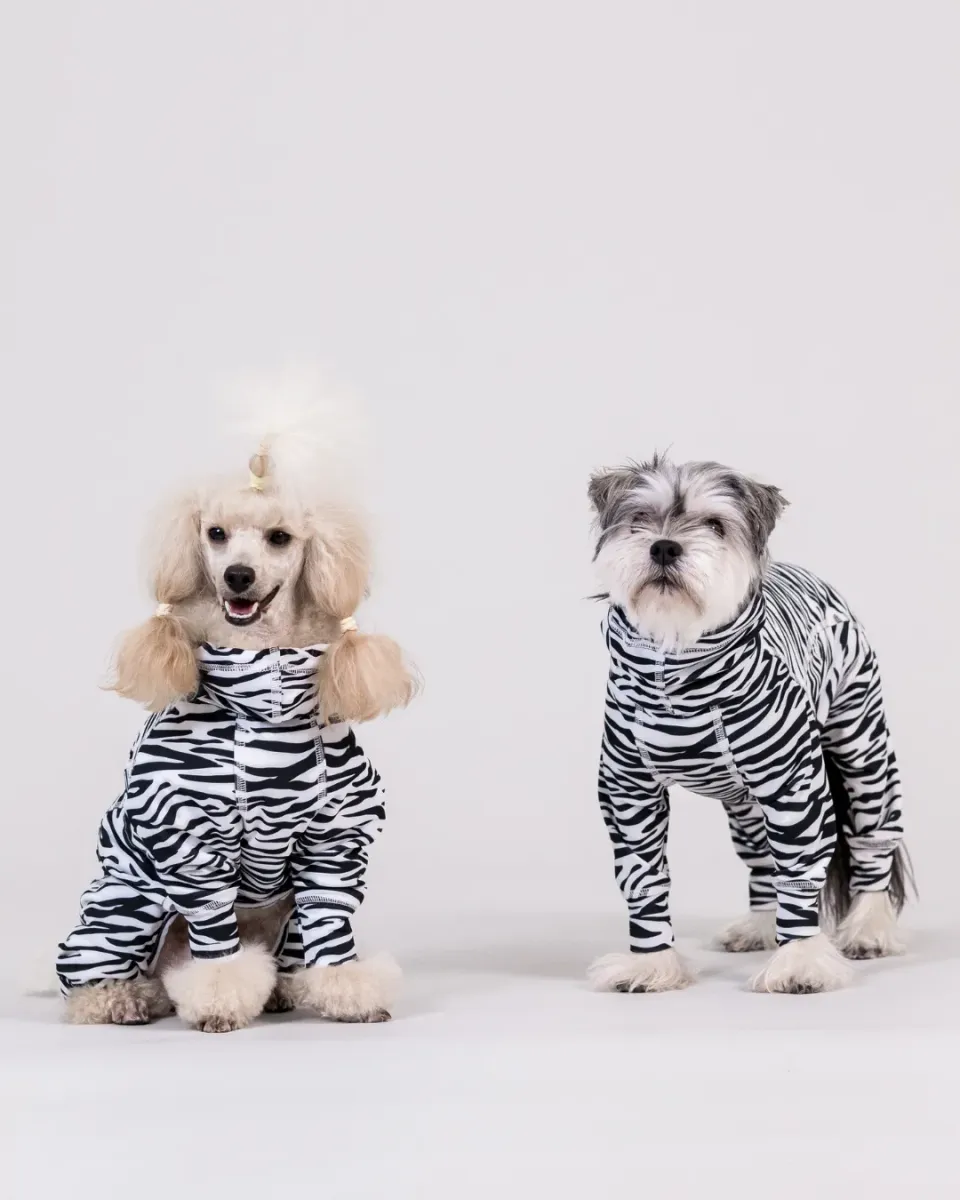 Paikka UV Bug Overall hundedragt zebra UV-beskyttende
