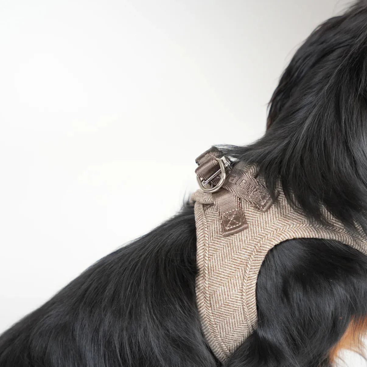 Staey Saga step-in hundesele Mocca blød