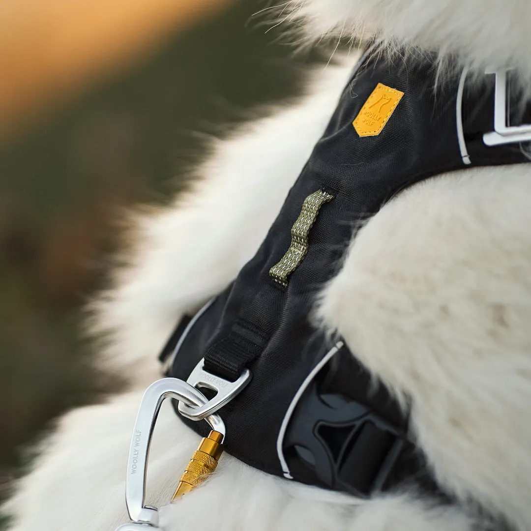 Woolly Wolf Alpha 360 hundesele sort genbrug
