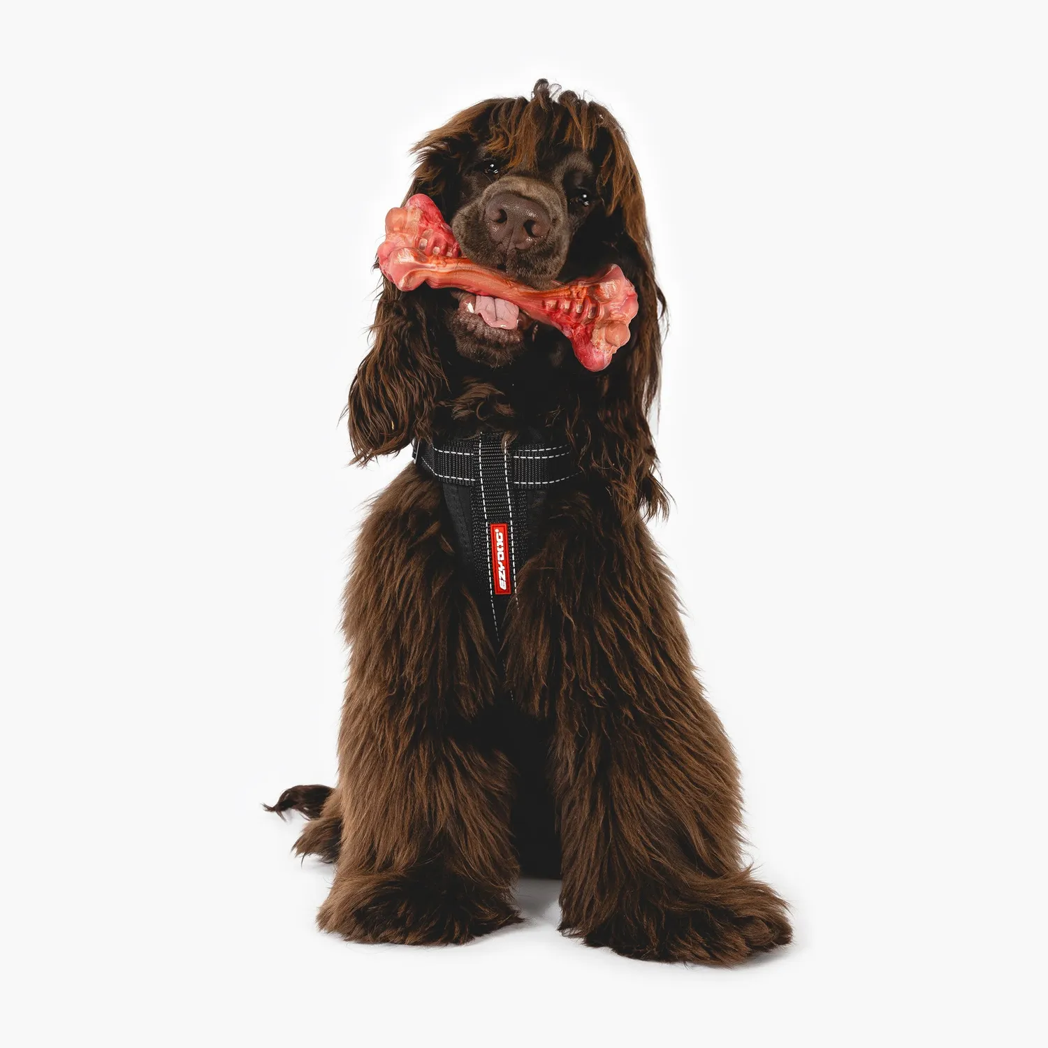 EzyDog EzyBones tyggelegetøj rød okse S