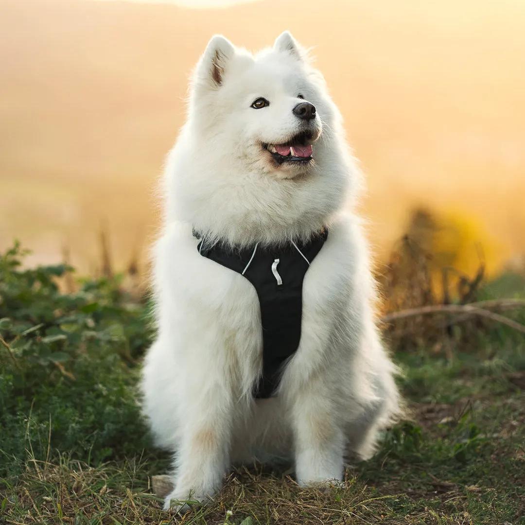 Woolly Wolf Alpha 360 hundesele sort genbrug