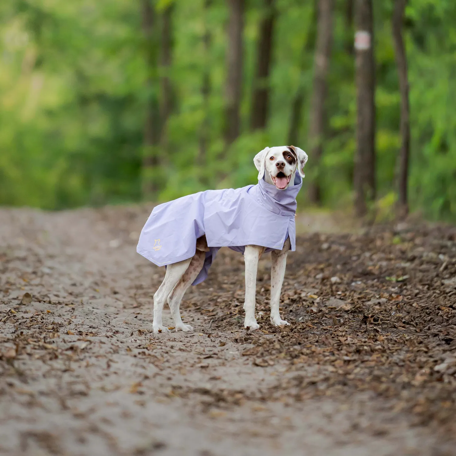 Woolly Wolf Cloudshell regnjakke hund lavendel