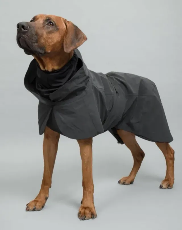 Paikka Visibility Raincoat regndækken sort vandtæt