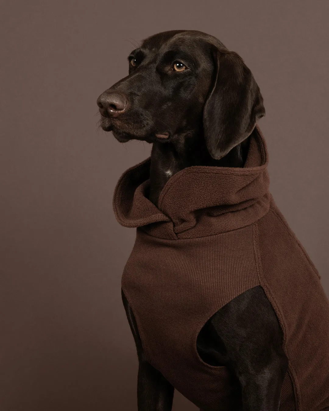 Paikka Seawool hundetrøje chokolade varmende
