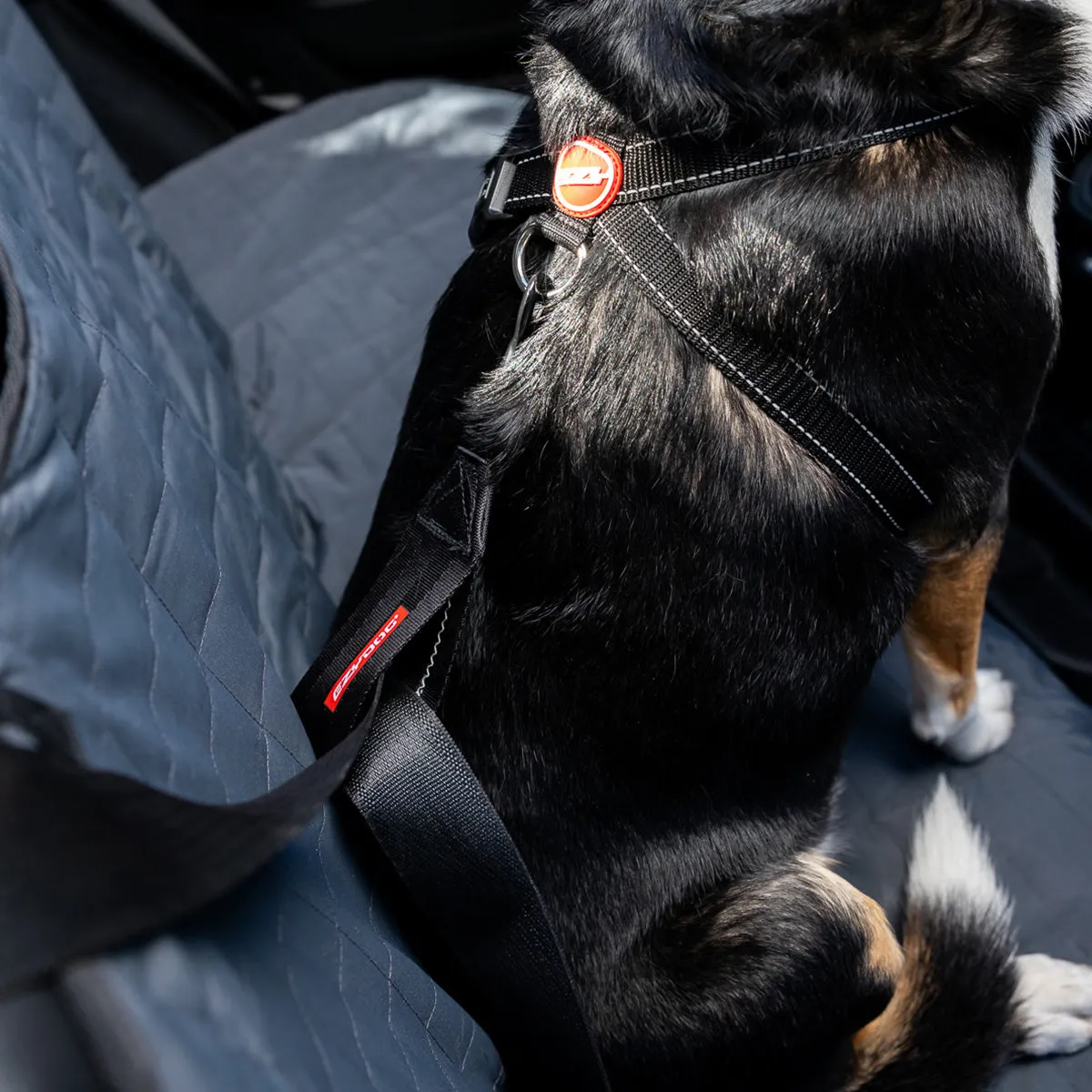 EzyDog selerem til bil sort universal selelås