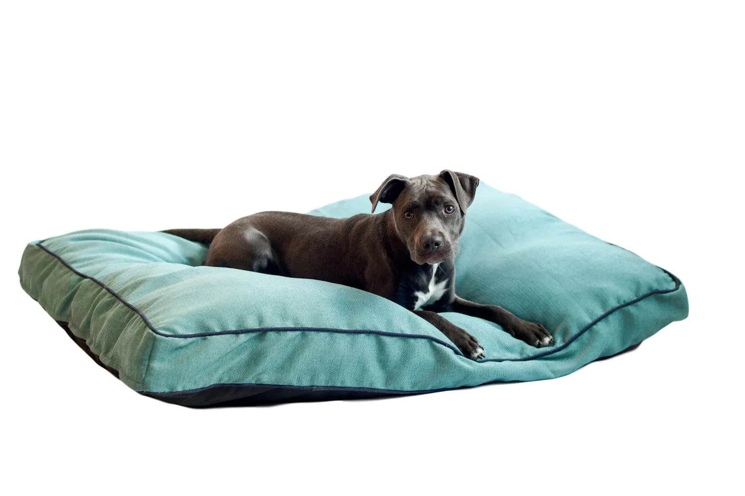 Dog Gone Smart Chenille Rectangle hundeseng med Repelz-It og vaskbart betræk