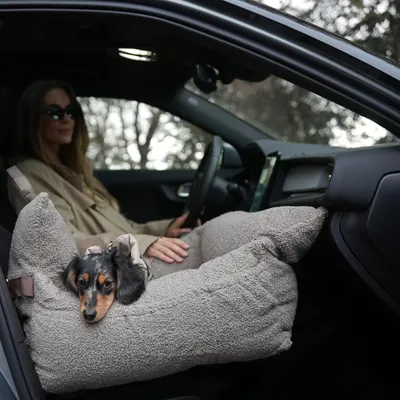 Staey Lara bilsæde Teddy 2.0 til små hunde
