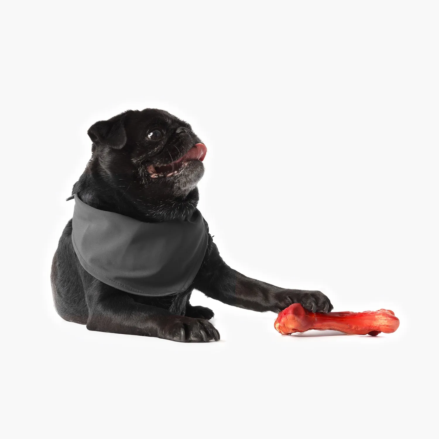 EzyDog EzyBones tyggelegetøj rød okse S