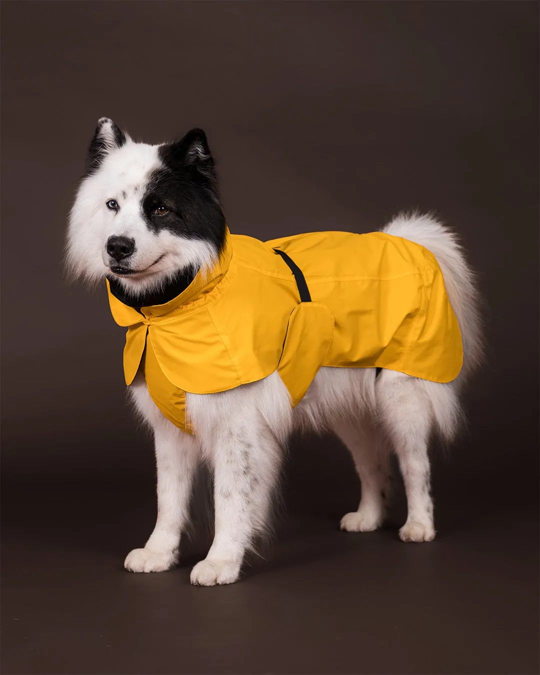Paikka Visibility Raincoat hunderegnjakke gul reflekterende