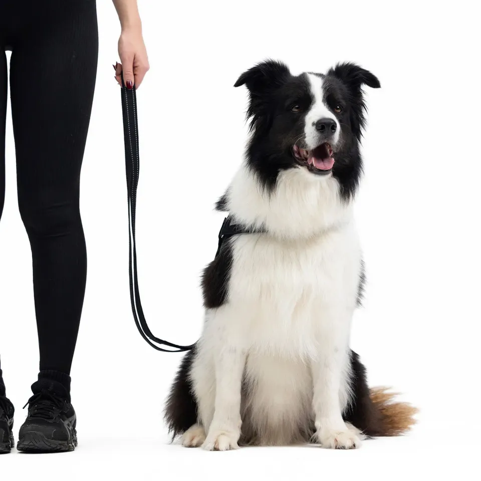 EzyDog Vario 4 multihundeline 185cm sort justerbar