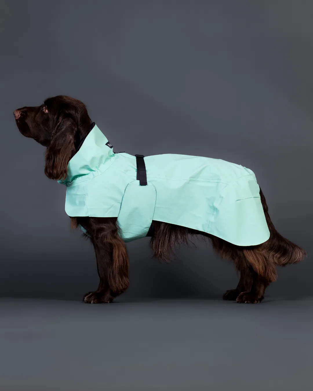 Paikka Visibility Raincoat Lite regndækken grøn let