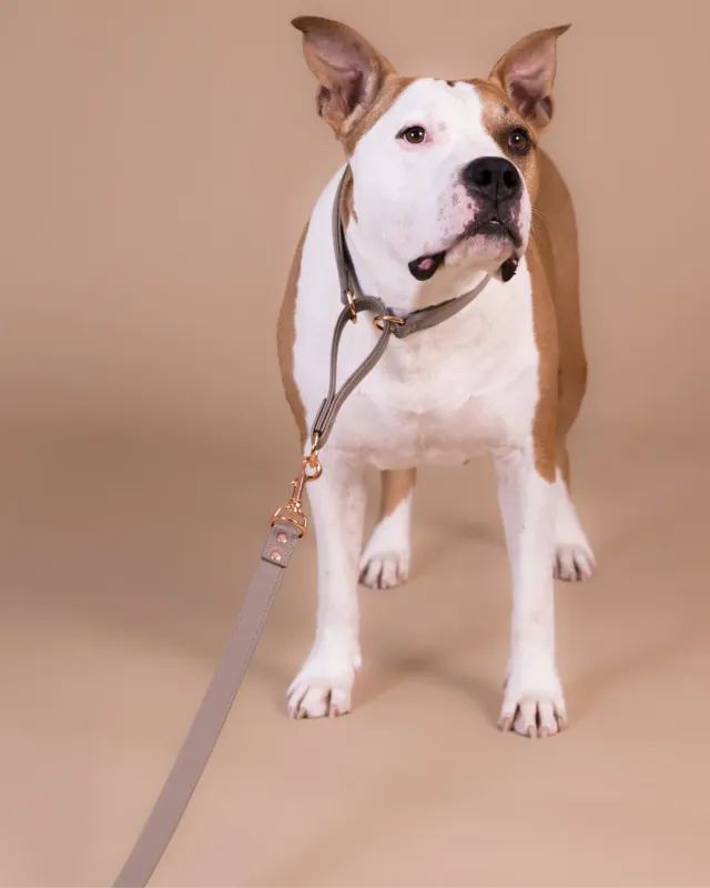 Paikka Lignify hundesnor Taupe 180 cm slidstærk