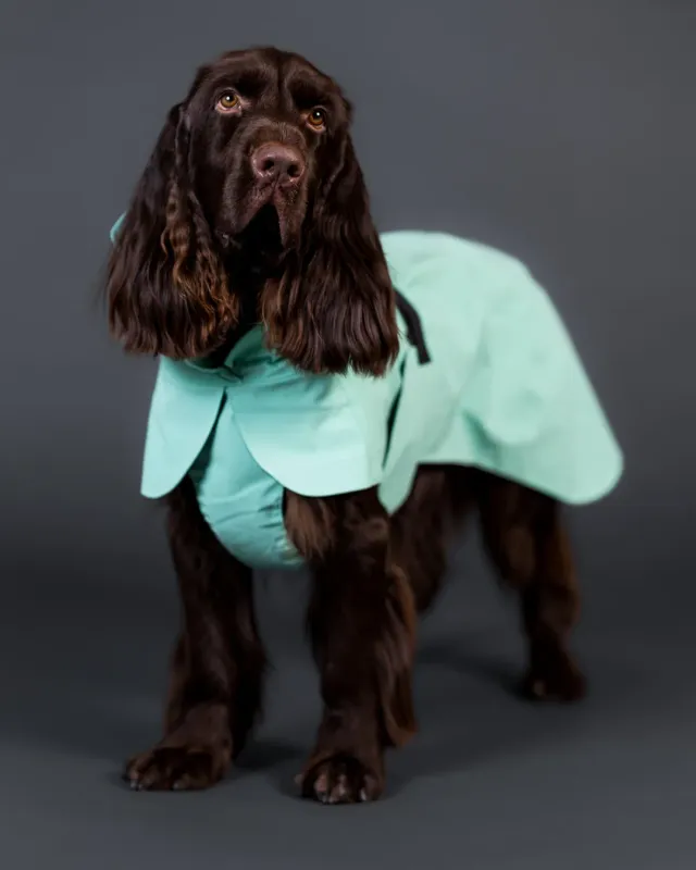 Paikka Visibility Raincoat Lite regndækken grøn let