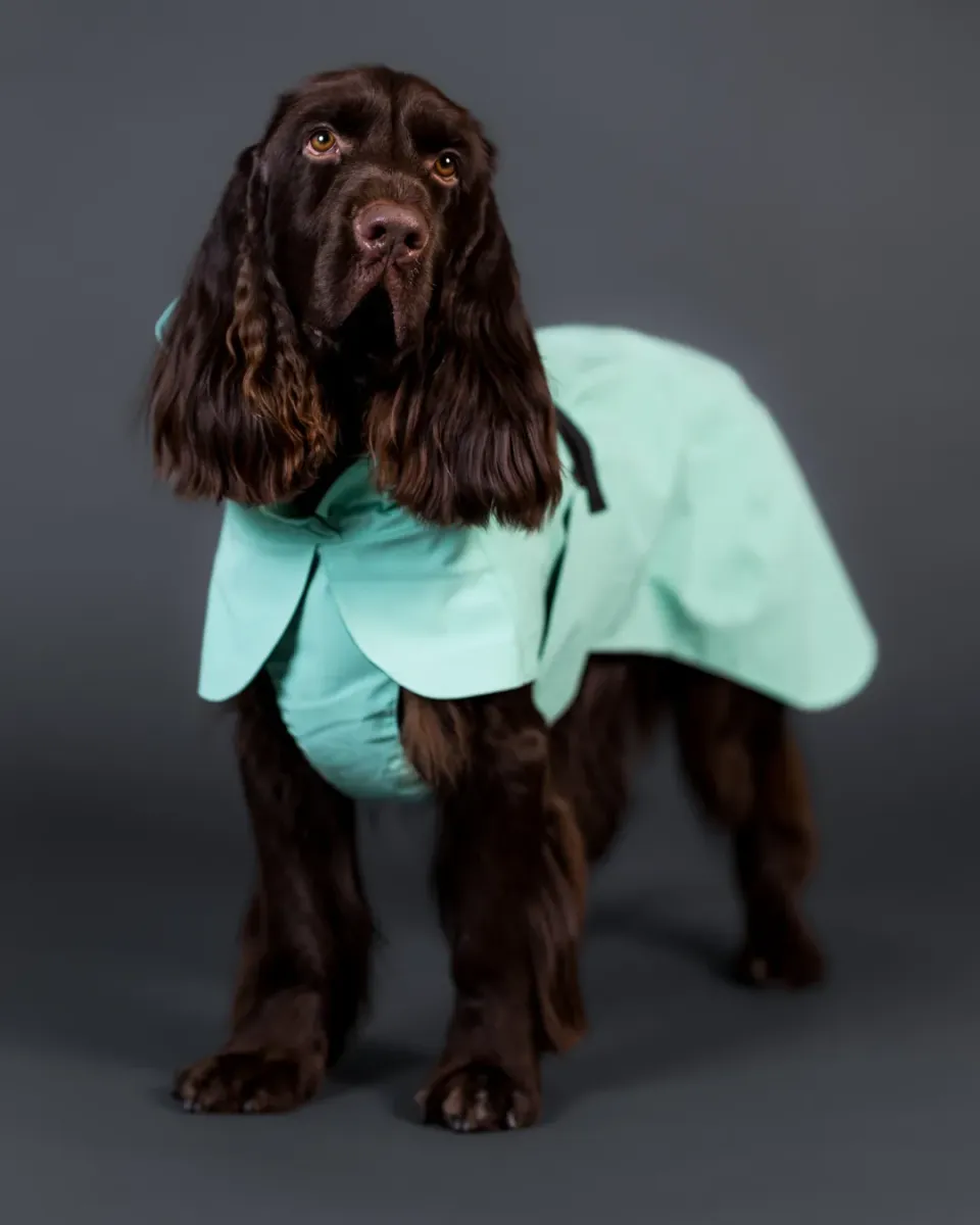 Paikka Visibility Raincoat Lite regndækken grøn let
