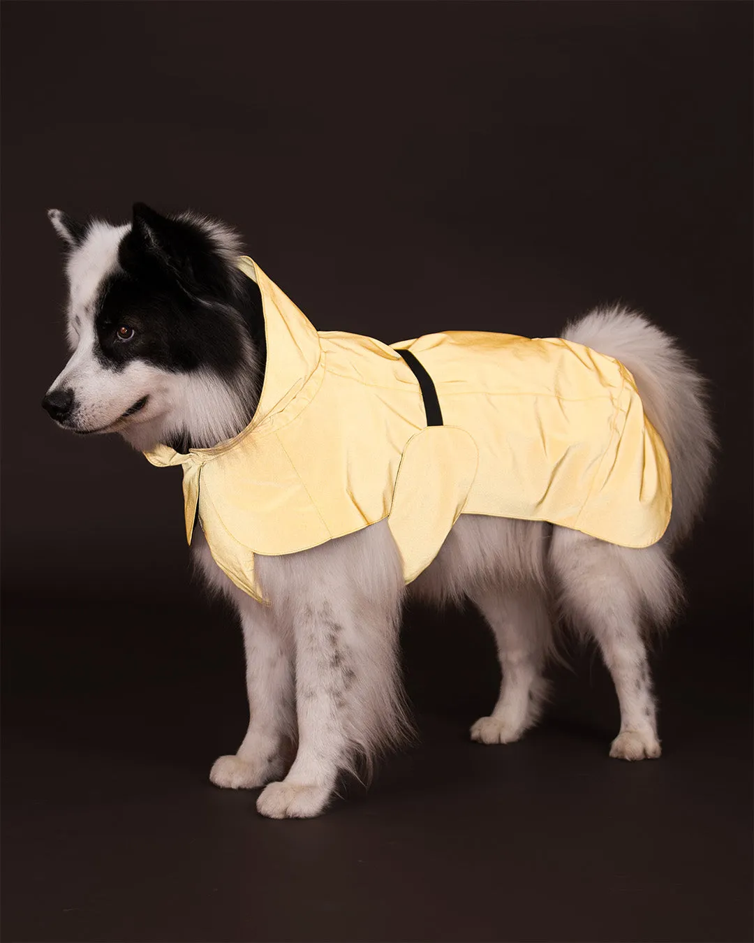 Paikka Visibility Raincoat hunderegnjakke gul reflekterende