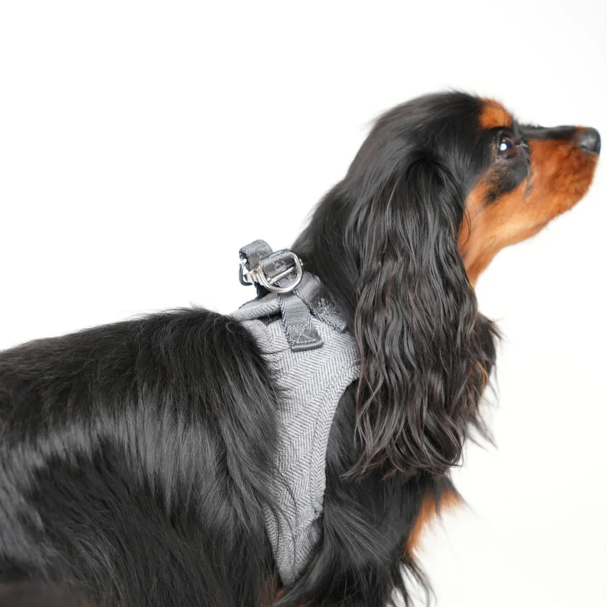 Staey Saga step-in hundesele dusty blue blød