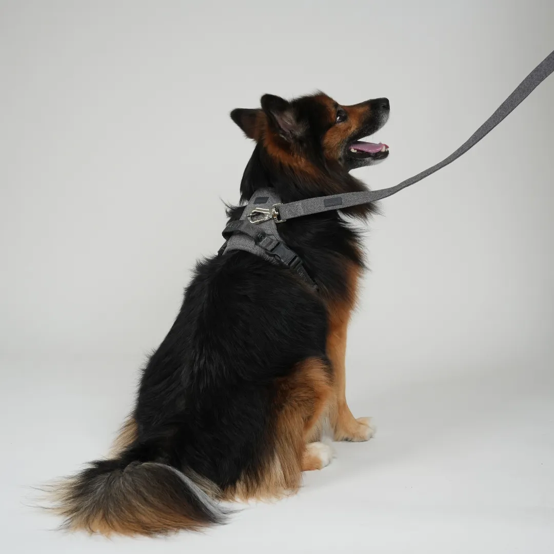 Staey Elma hundesnor dusty blue 152 cm