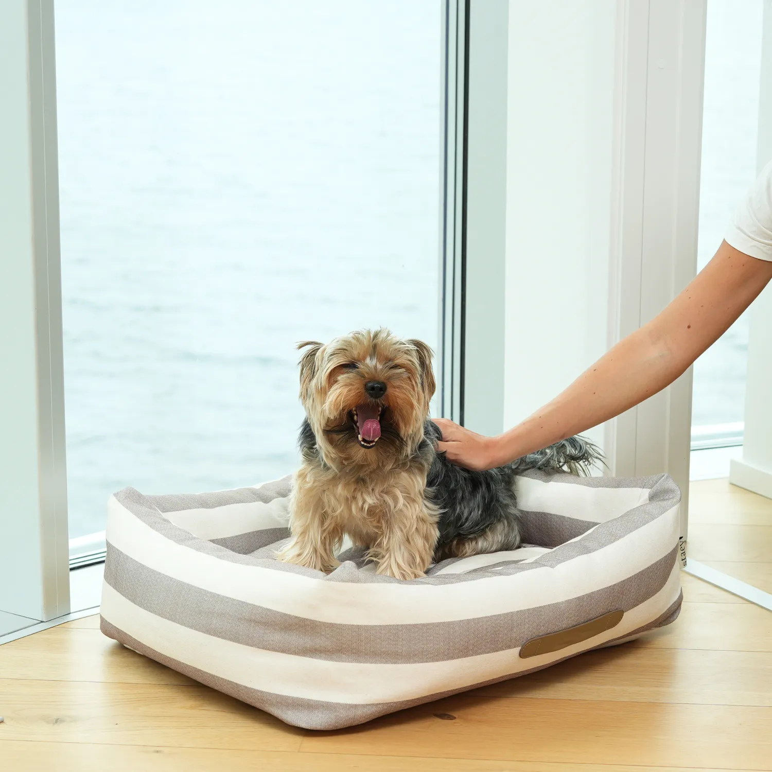 Staey Alba hundeseng striped vaskbar