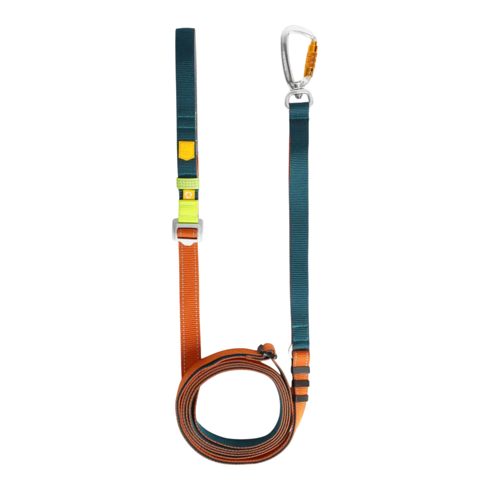 Woolly Wolf Color Block hundesnor Lime Mix 170-300 cm 2 cm