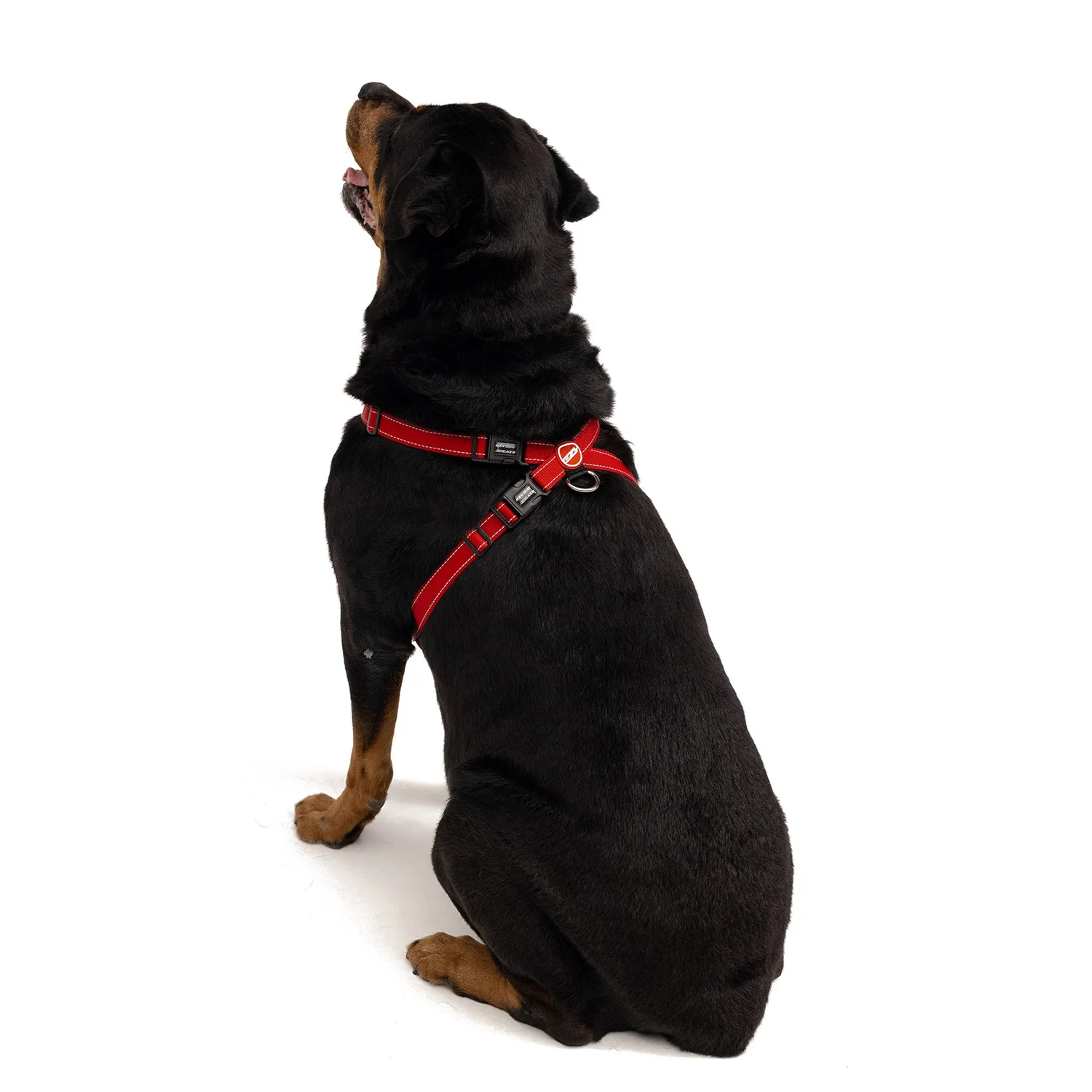 EzyDog Chest Plate sele camo grøn