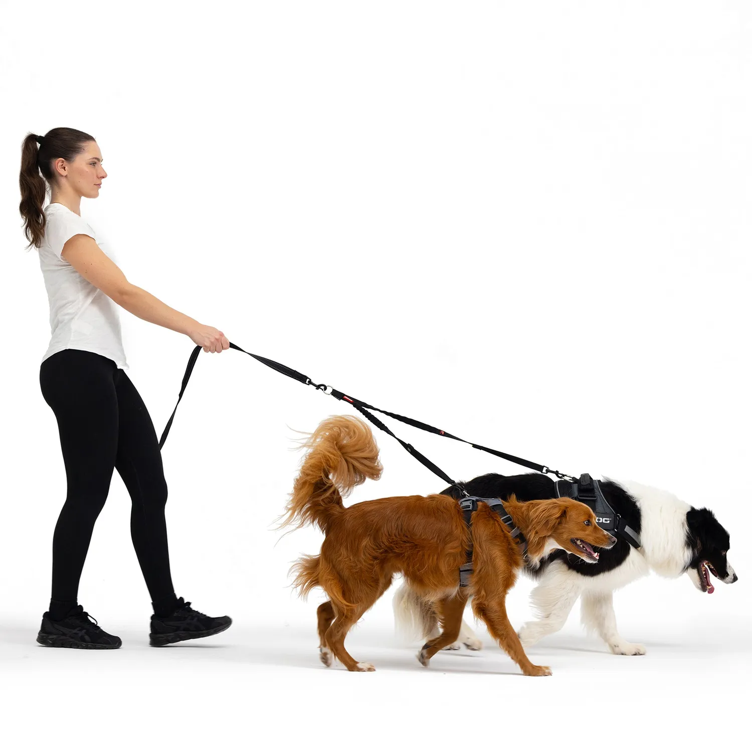 EzyDog Zero Shock Coupler kobbel sort 61cm stødabsorberende
