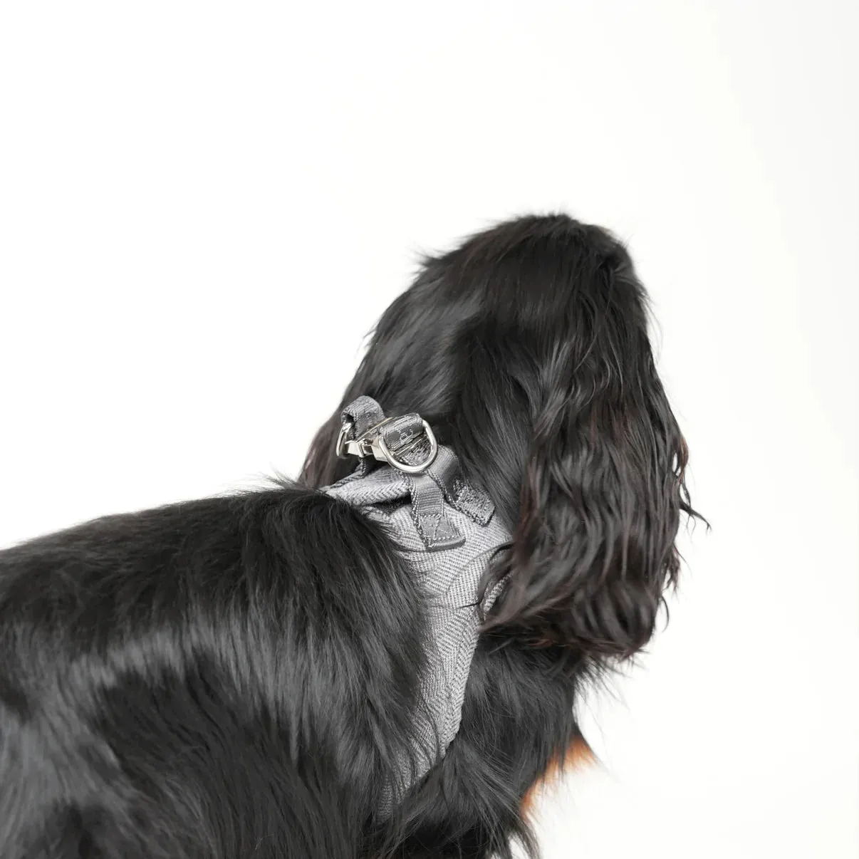 Staey Saga step-in hundesele dusty blue blød