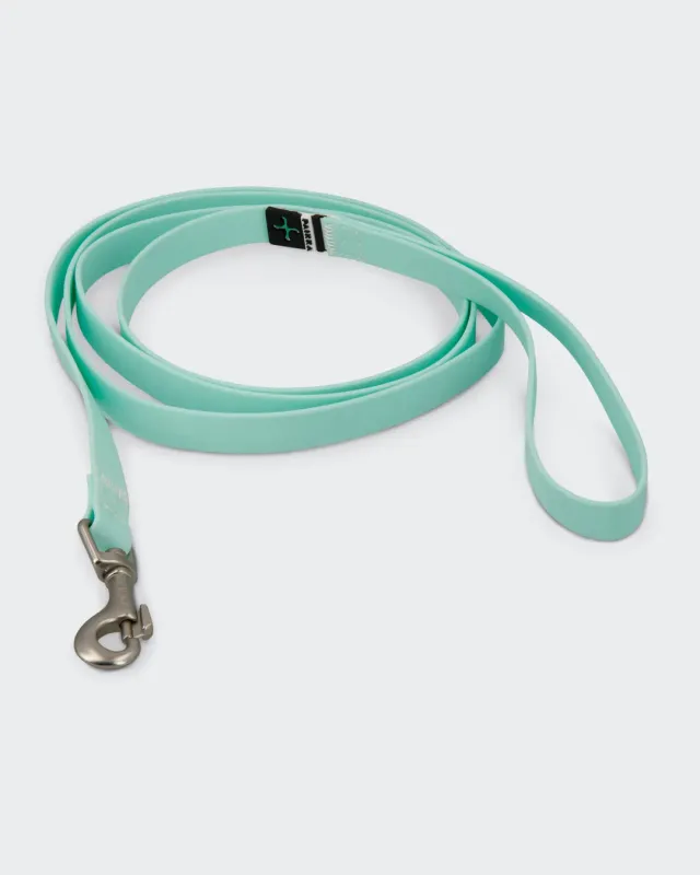 Paikka Glow Leash Cabbage hundesnor 180 cm