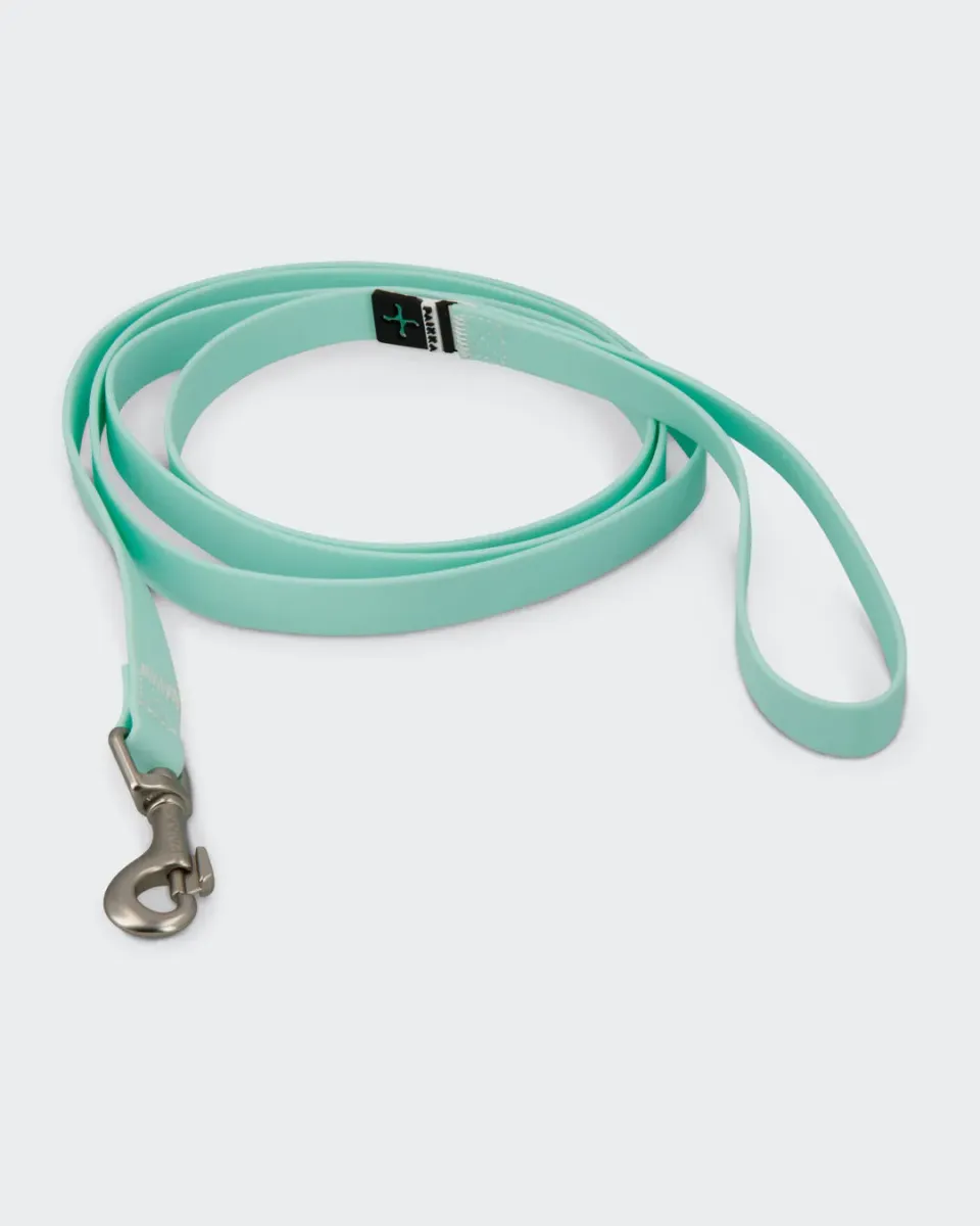 Paikka Glow Leash Cabbage hundesnor 180 cm