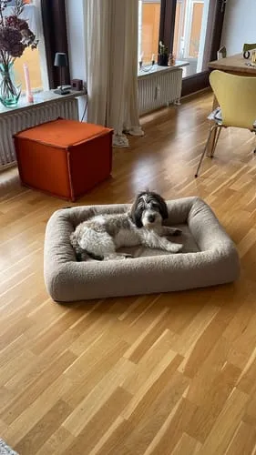 Staey Karla Hundeseng Oat Bouclé Ortopædisk Memory Foam
