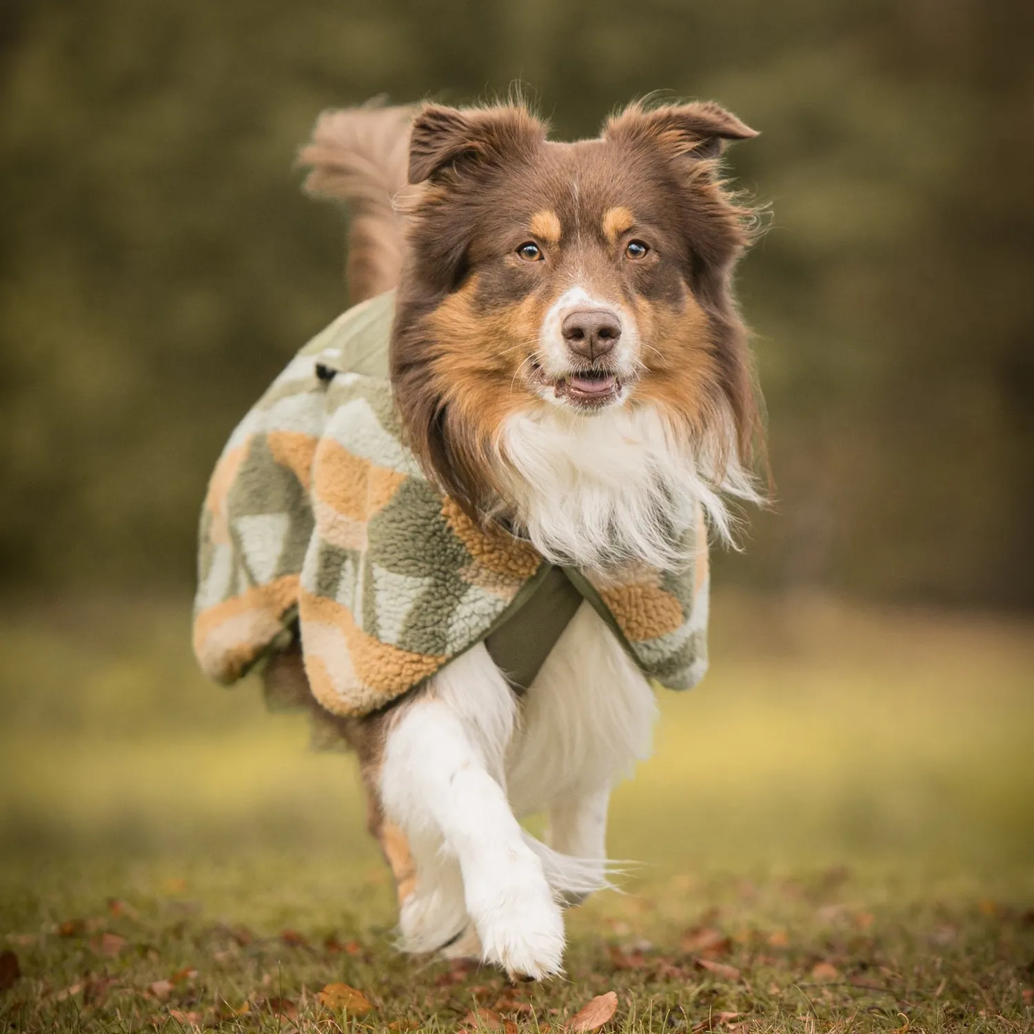 Woolly Wolf Borealis Pile-fleecejakke Cloudbeam varm