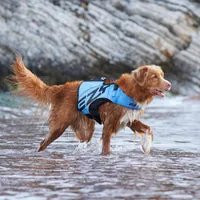 EzyDog DFD X2 Boost svømmevest ultra opdrift