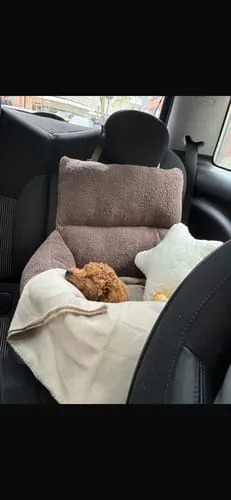 Staey Clara bilsæde til hund Limited Edition Teddy