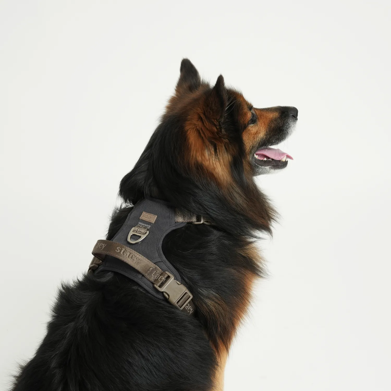 Staey Elma Active hundesele Storm med håndtag
