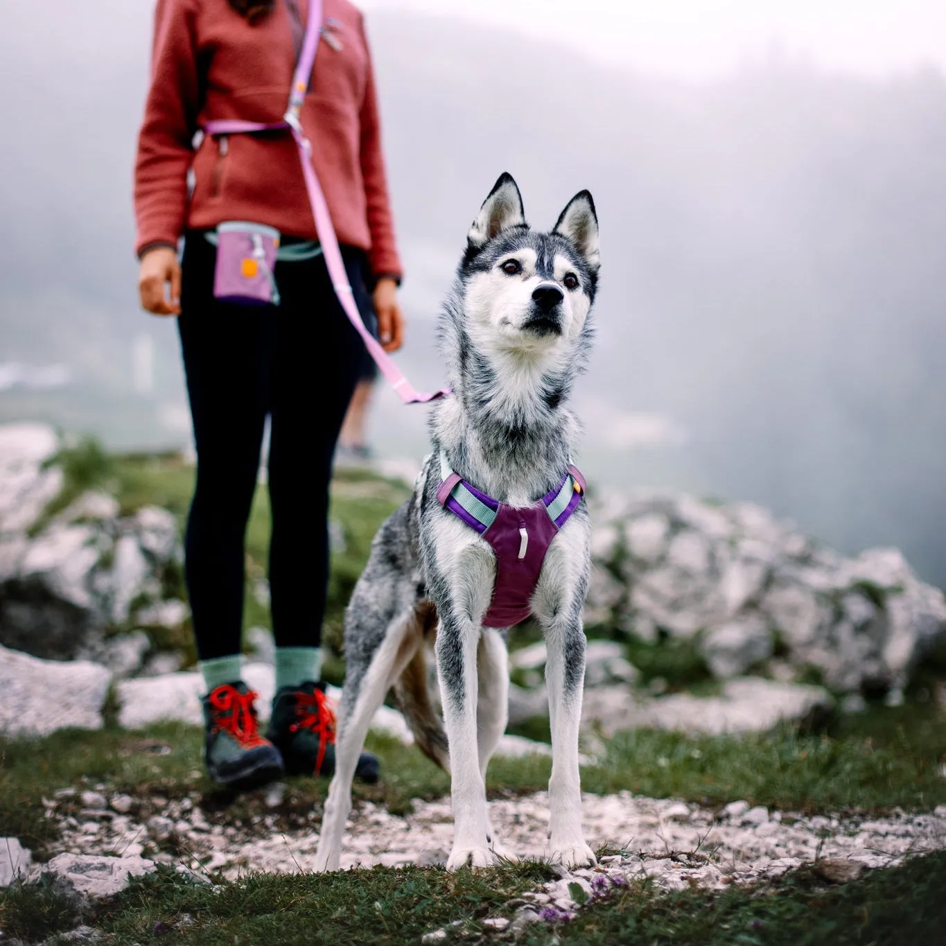 Woolly Wolf Alpha 360 sele Mauve Mix refleks