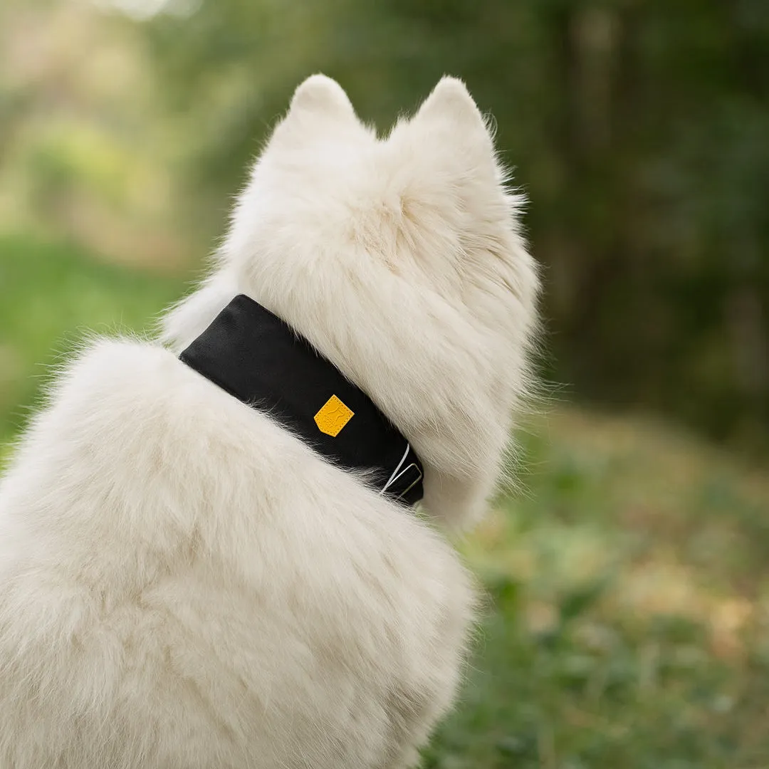 Woolly Wolf Alpha 360 hundehalsbånd sort polstret