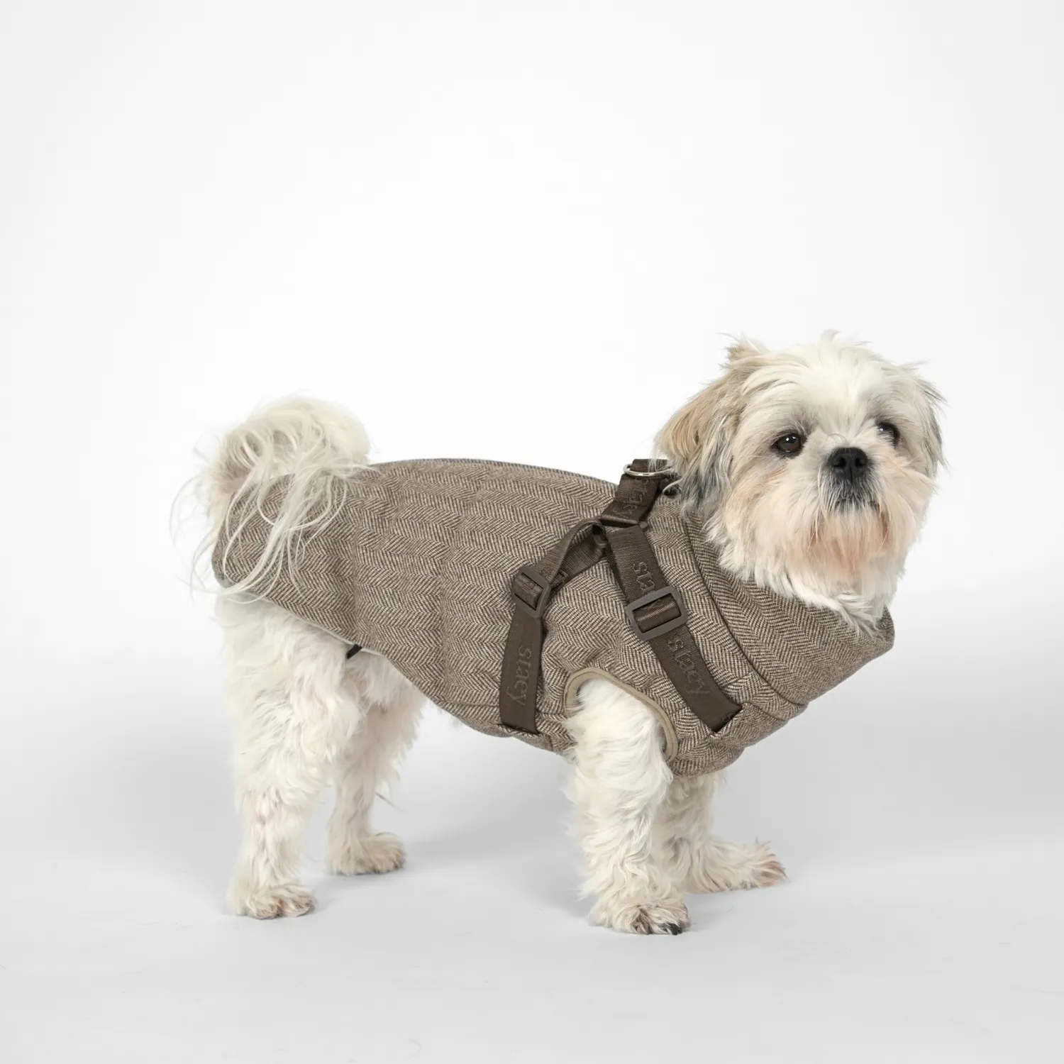 Staey Vera hundefrakke med sele Herringbone Mocca