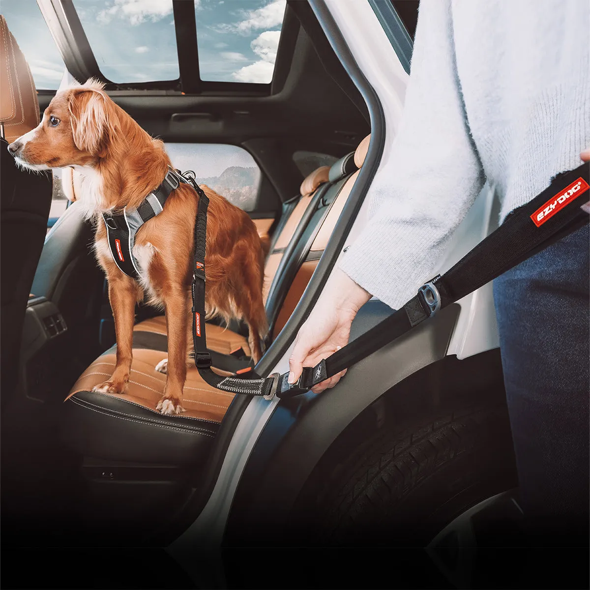 EzyDog Drive Click hundeline selebælte sort