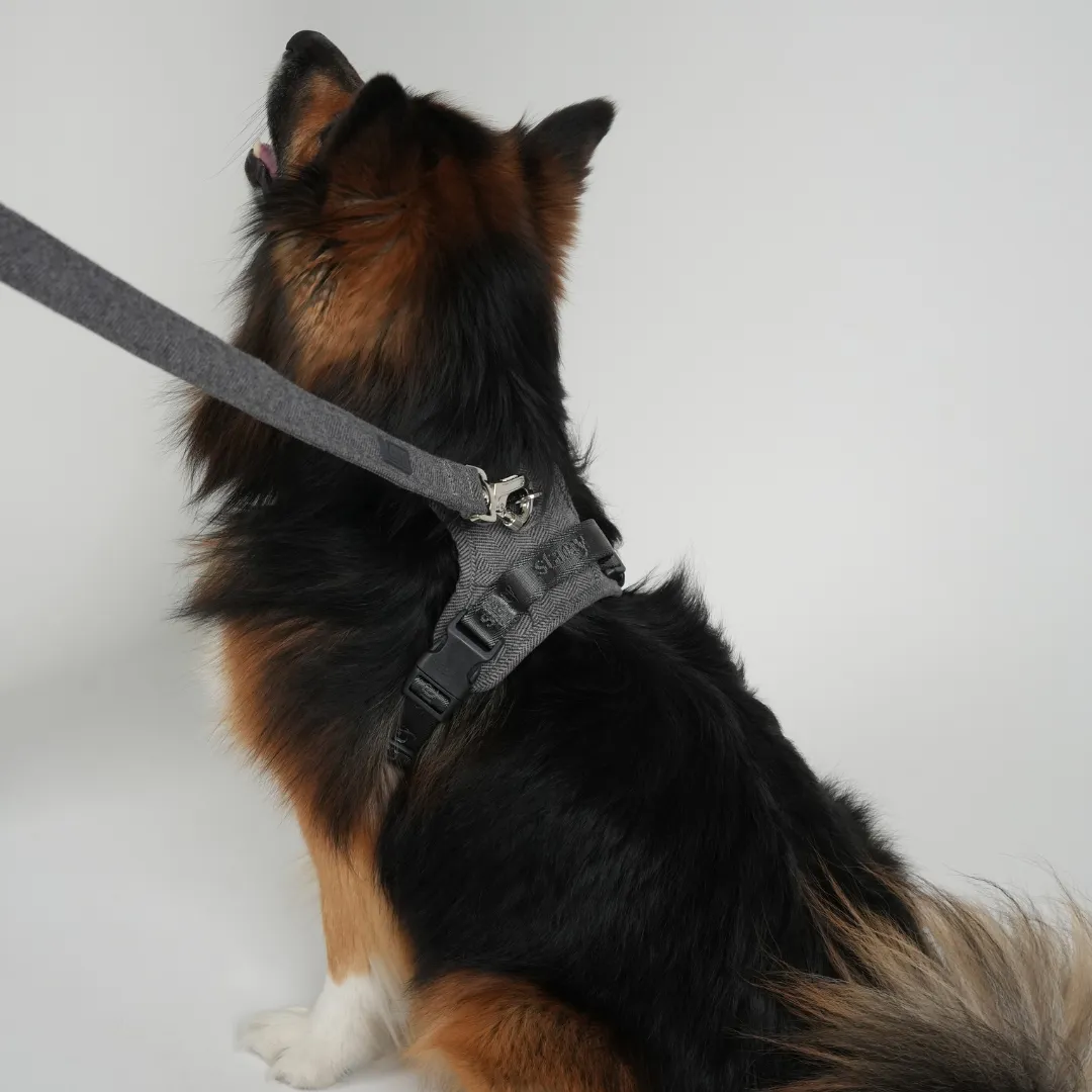 Staey Elma hundesnor dusty blue 152 cm