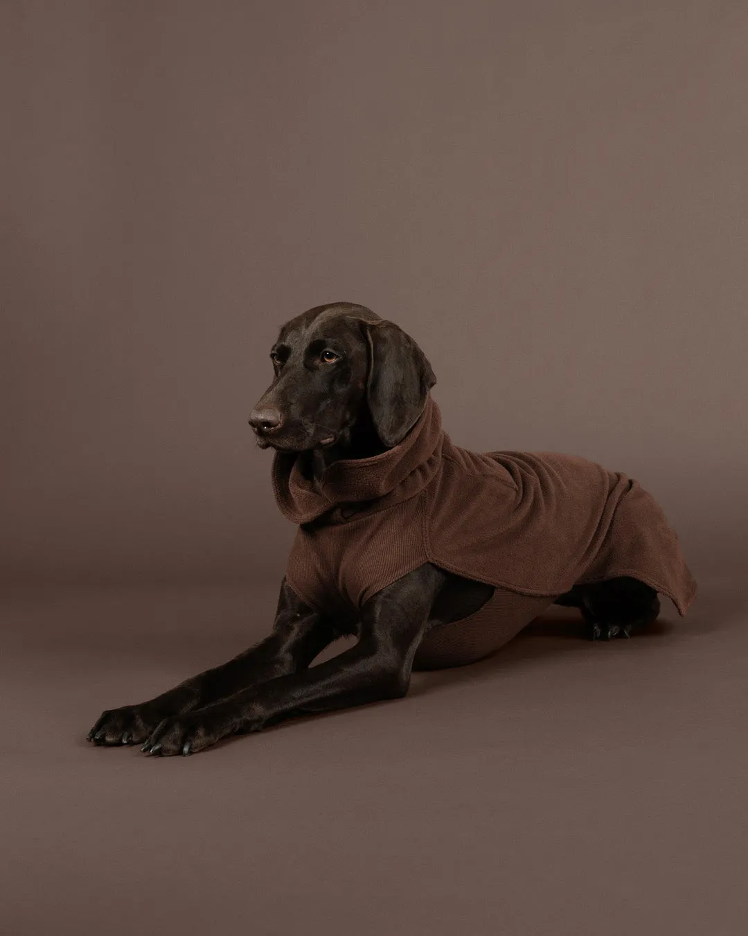 Paikka Seawool hundetrøje chokolade varmende