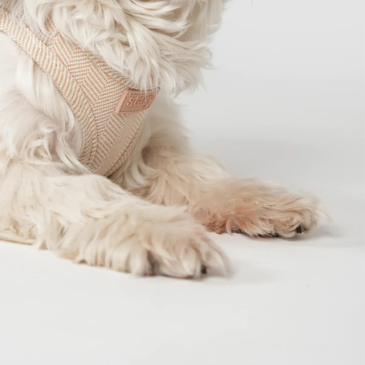 Staey Saga step-in hundesele light rose blød